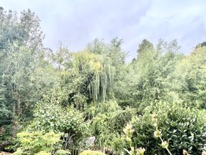 View- click for photo gallery